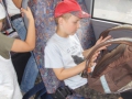 hpim2670.jpg