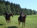 dsc03845.jpg