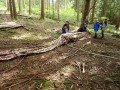 DSC02701-Benutzerdefiniert