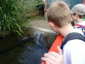 DSC02880-Benutzerdefiniert