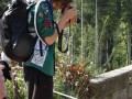 DSC02933-Benutzerdefiniert