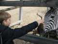 IMG_6291-Benutzerdefiniert