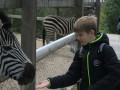 IMG_6299-Benutzerdefiniert