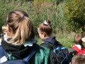 IMG_6486-Benutzerdefiniert