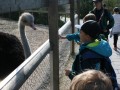 IMG_6566-Benutzerdefiniert