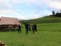 IMG_0046