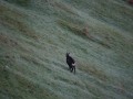 IMG_0920