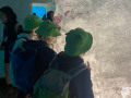 Bula_Pfadis-215