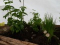 DSC00206
