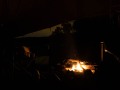 DSC00519