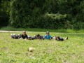 DSC00533
