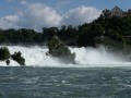 DSC00781
