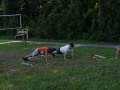 DSC00886