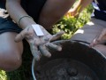 DSC00903