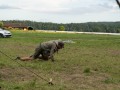 DSC00922