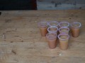 DSC00933